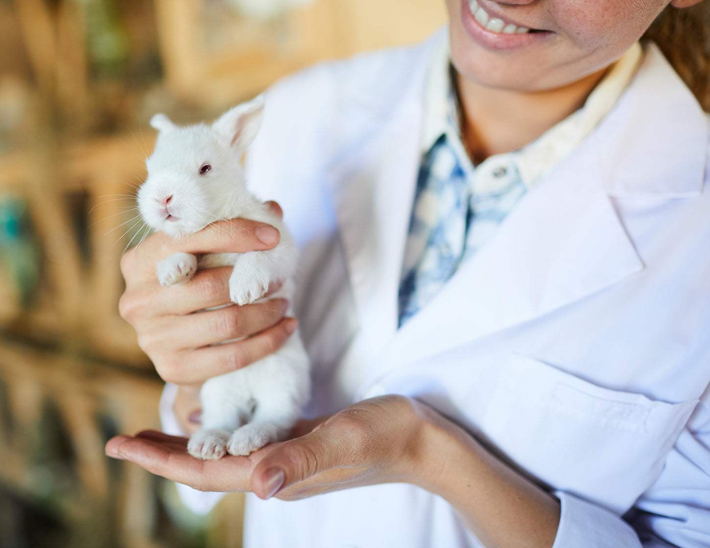 What Does Cruelty Free Mean In Cosmetics? - Quick Flick 